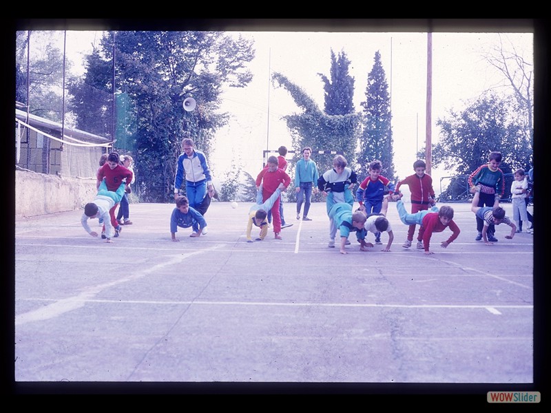 image slider