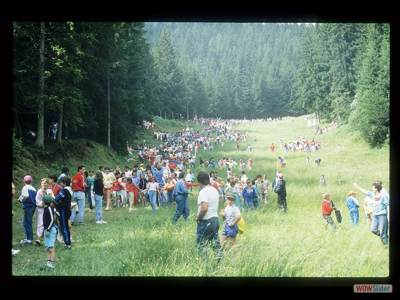 IMG029