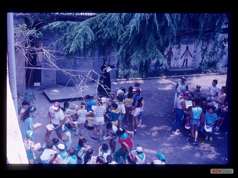 IMG030
