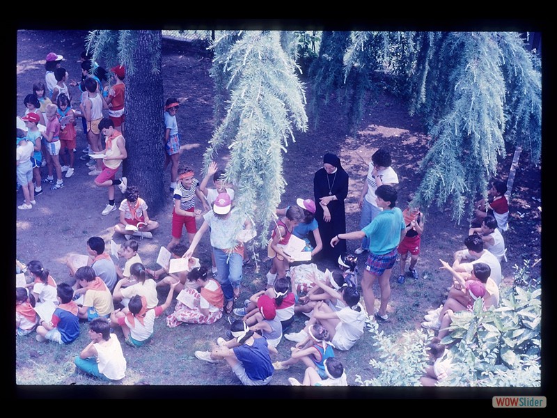 IMG031