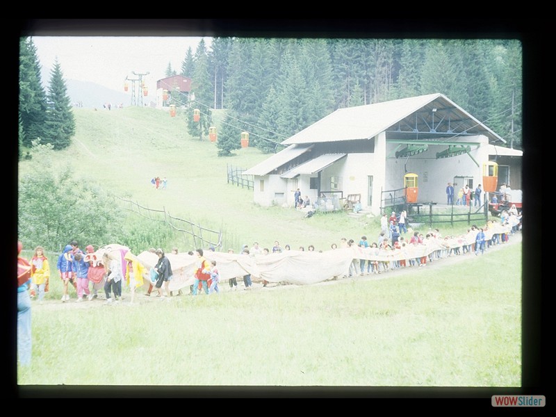 IMG037