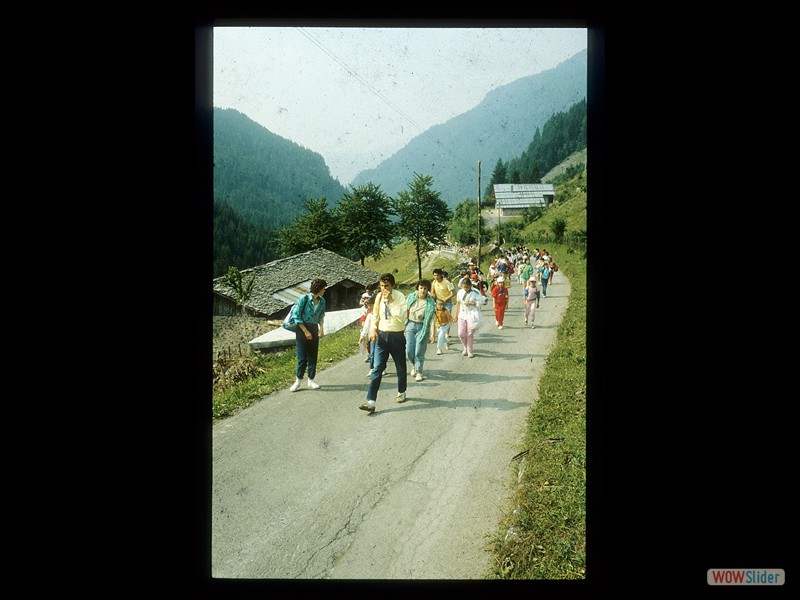 IMG017