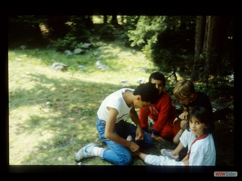 IMG023