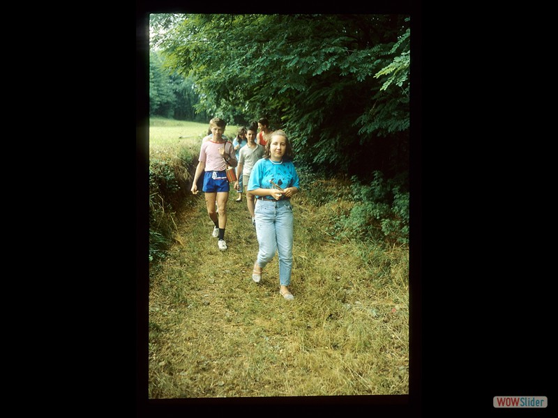 IMG026