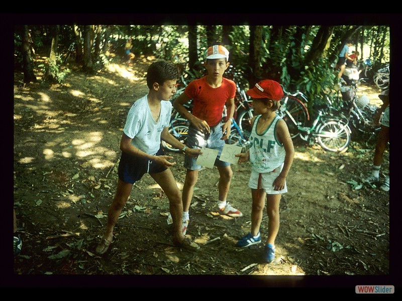 IMG009