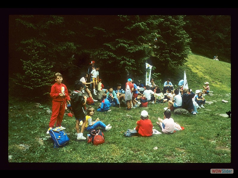 IMG012