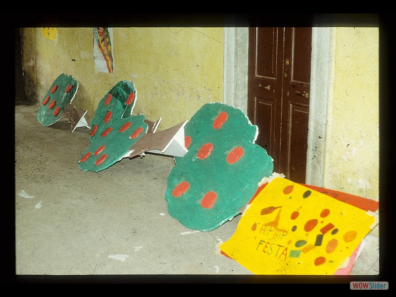 IMG035