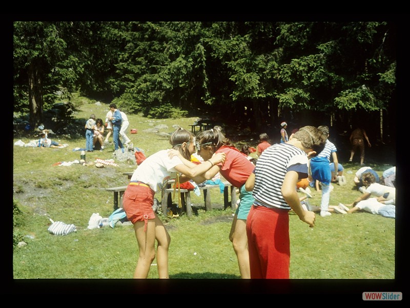 IMG037