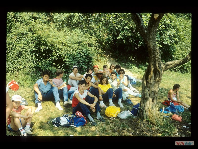 IMG045