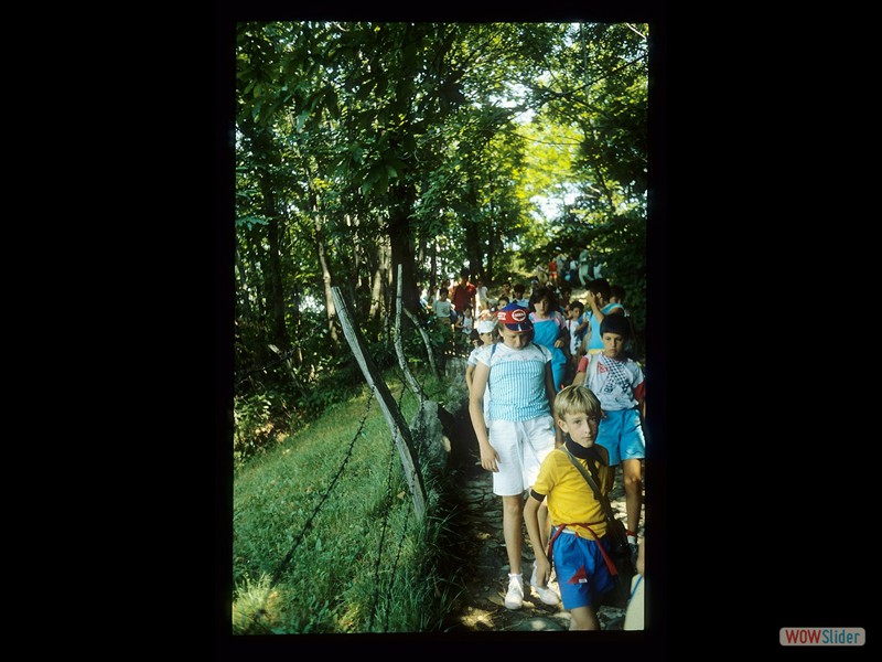 IMG050