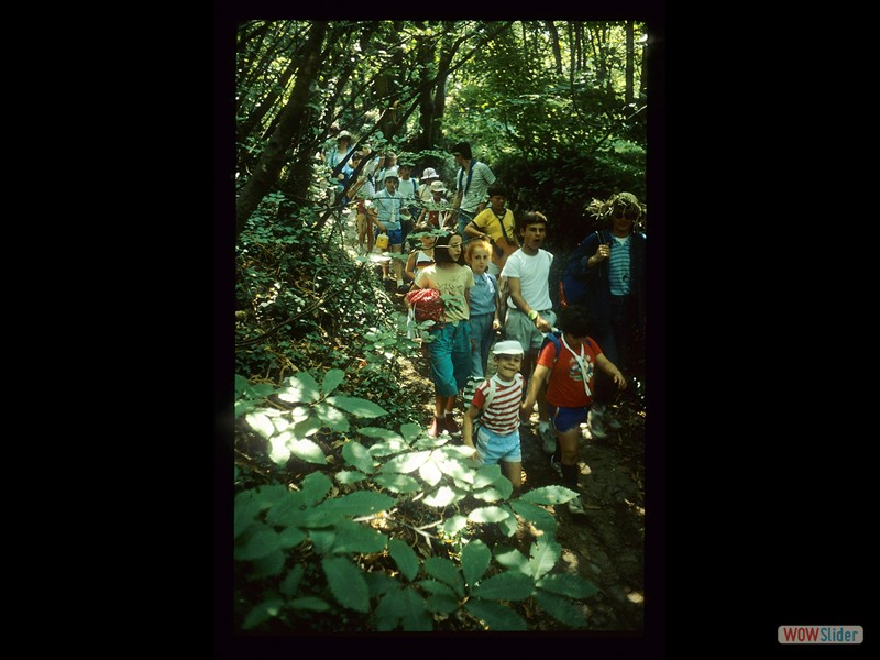 IMG064