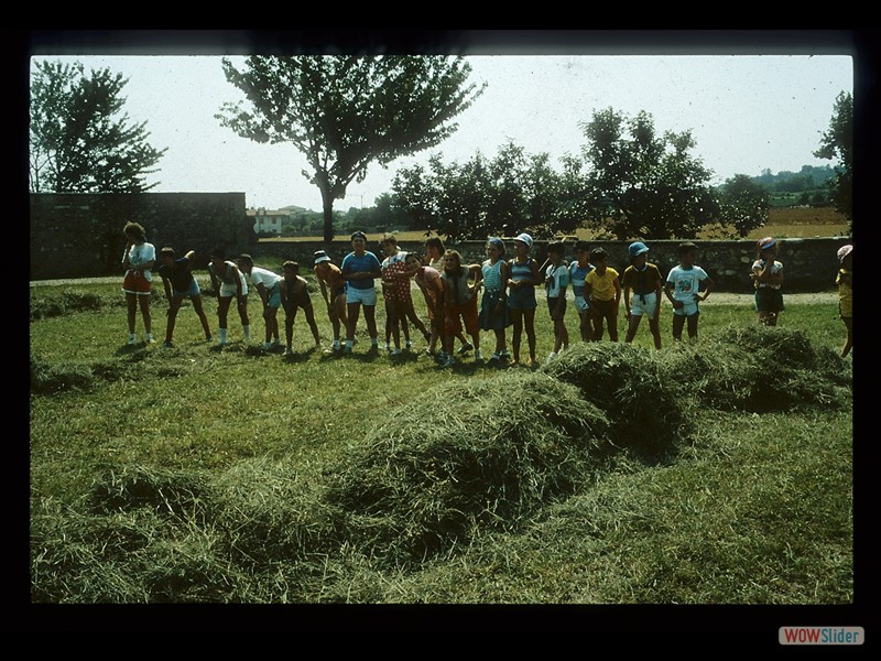 IMG094