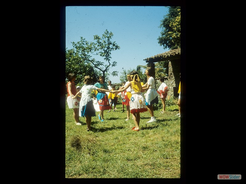 IMG253