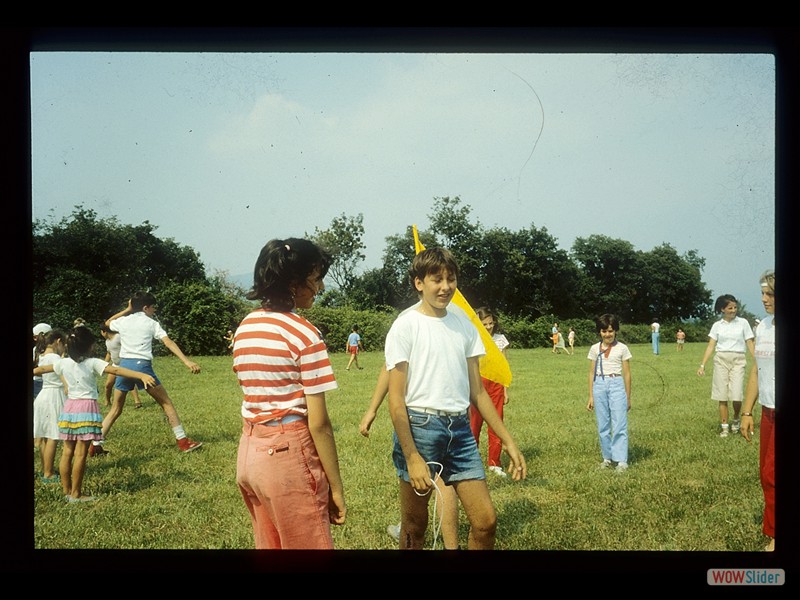 IMG352