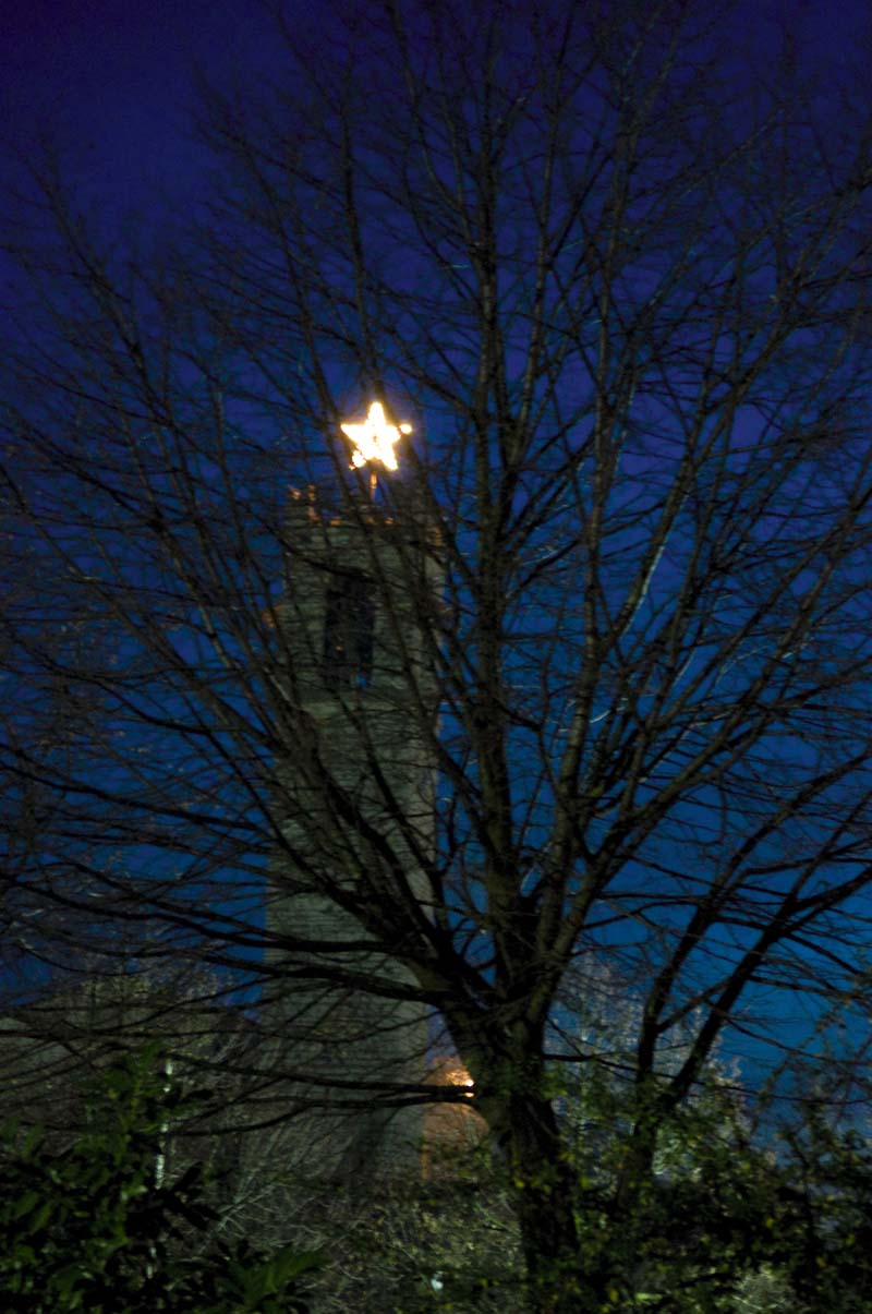 DSC_8168_2